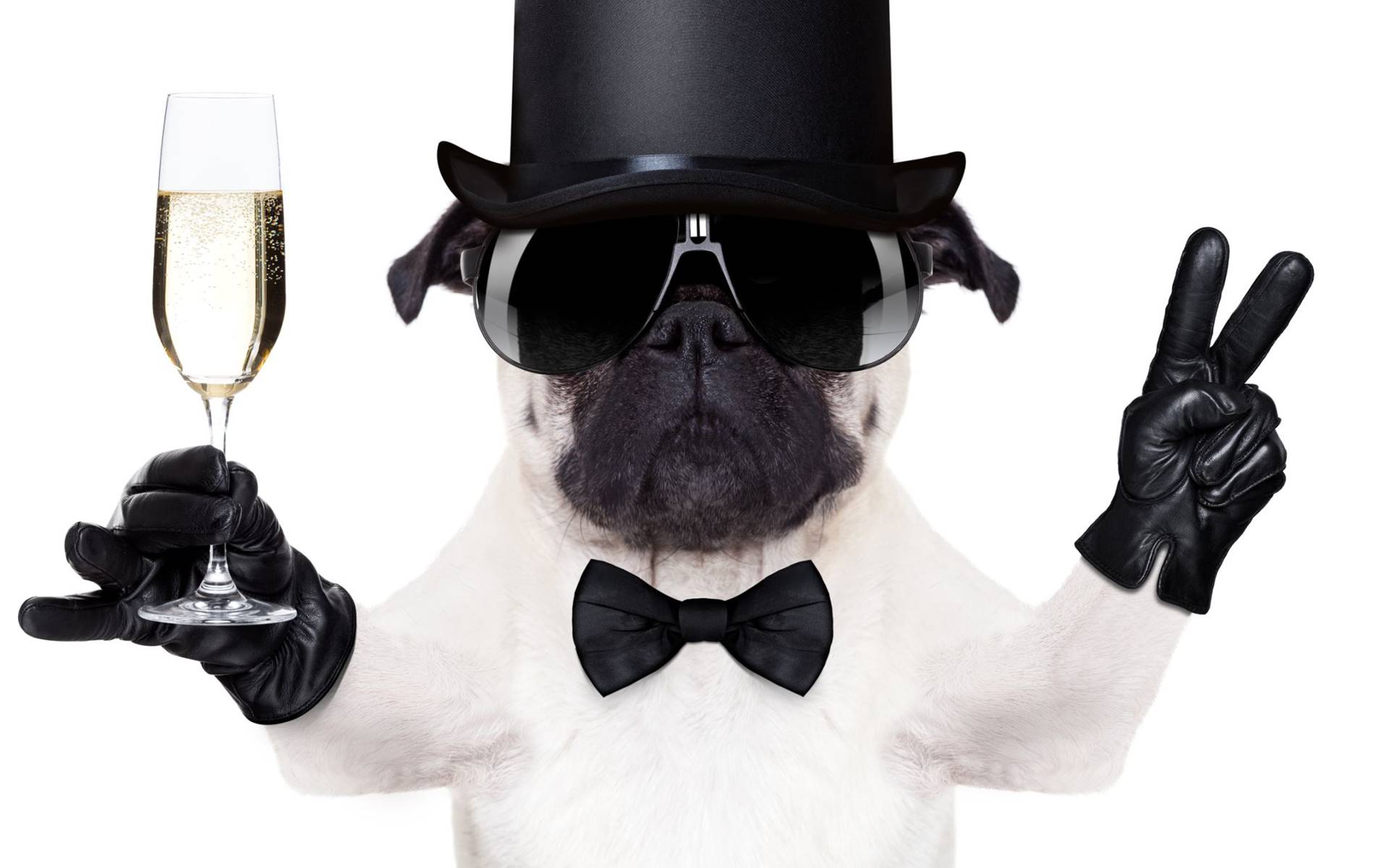 My Suitcase Blue - PRIVATE BUTLER SERVICES & VIP SECURITY